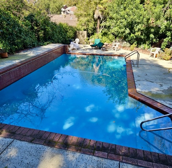 Rectangular pool with brick border and garden